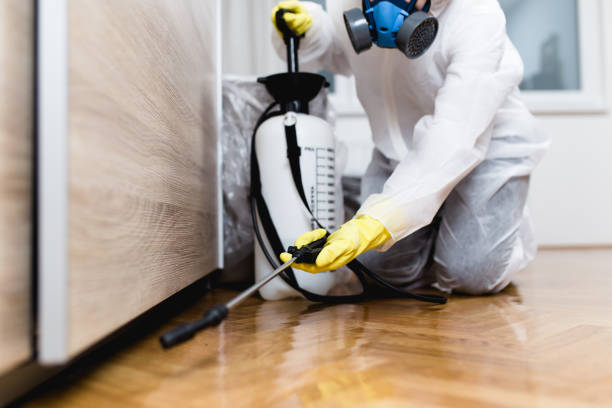Best Bed Bug Extermination  in Cockrell Hill, TX
