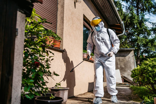Best Affordable Pest Control Services  in Cockrell Hill, TX