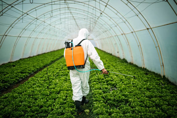 Pest Control for Restaurants in Cockrell Hill, TX