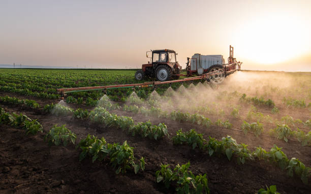 Best Commercial Pest Control Services  in Cockrell Hill, TX