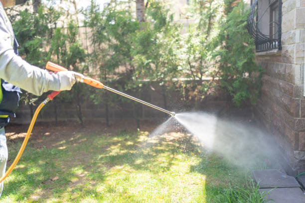 Best Best Pest Control Companies  in Cockrell Hill, TX