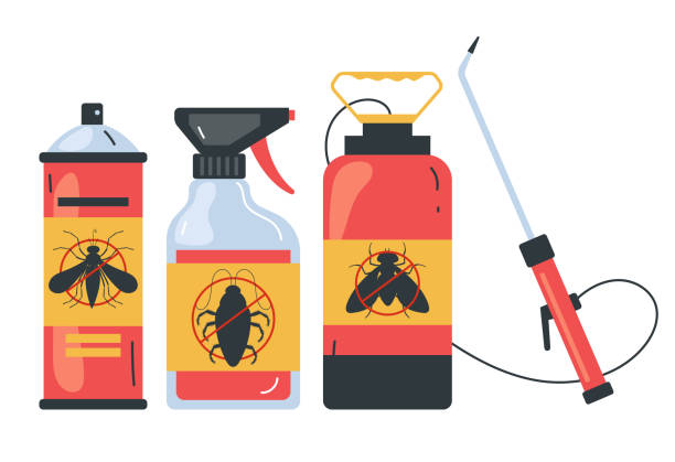 Best Insect Control  in Cockrell Hill, TX