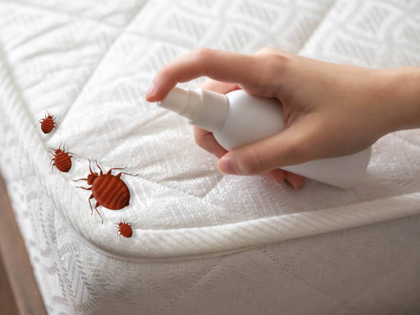 Best Commercial Pest Control Services  in Cockrell Hill, TX